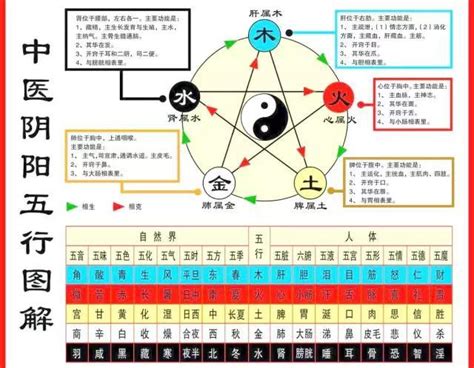 東南五行屬什麼